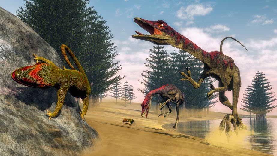compsognathus hunting a lizard